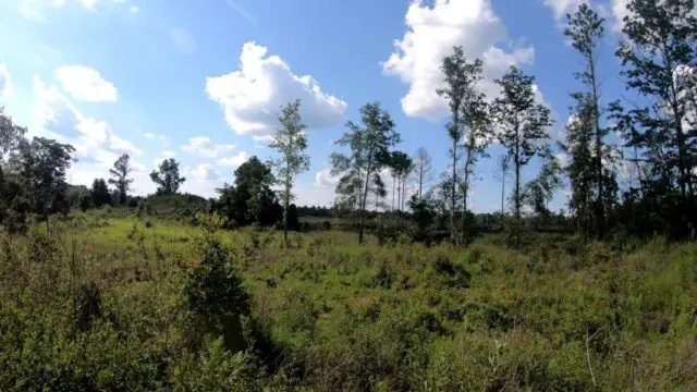 alachua high springs gravel cycling