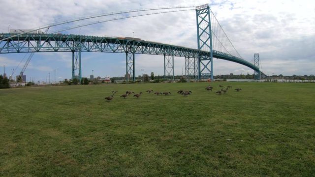 bicycle tour of detroit michigan