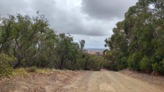 fleurieu peninsula gravel cycling