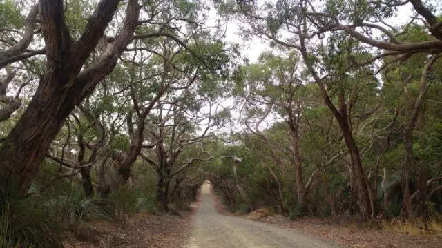 fleurieu peninsula gravel cycling