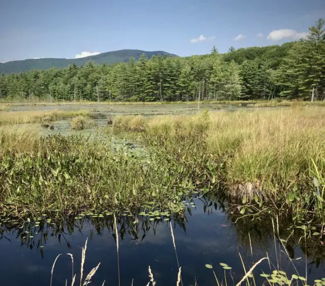 sandwich notch road new hampshire