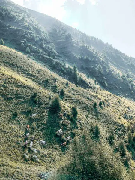 italian alps gravel cycling