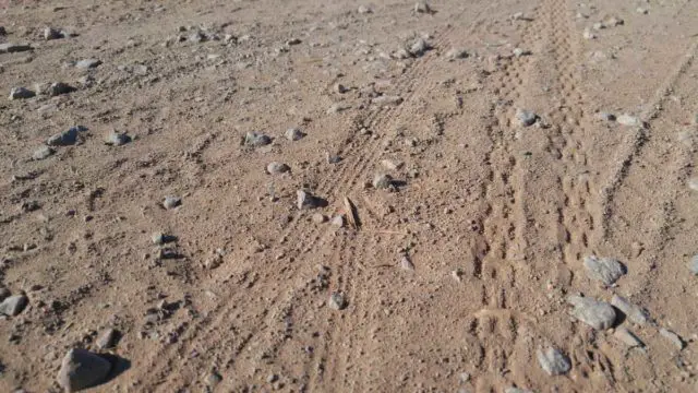 knobby tires on gravel bikes