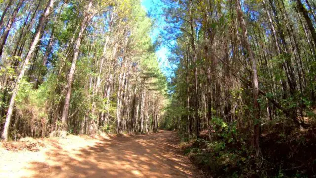 Meridian Mississippi cycling