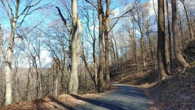 loudoun county virginia gravel cycling