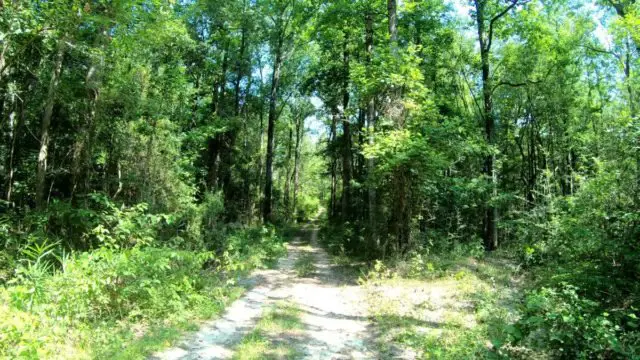 tuskegee alabama cycling