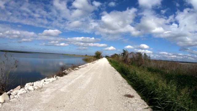 central florida gravel cycling