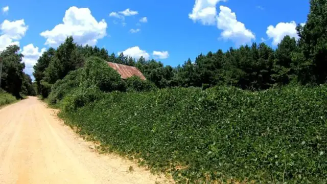 exploring lower alabama by bicycle