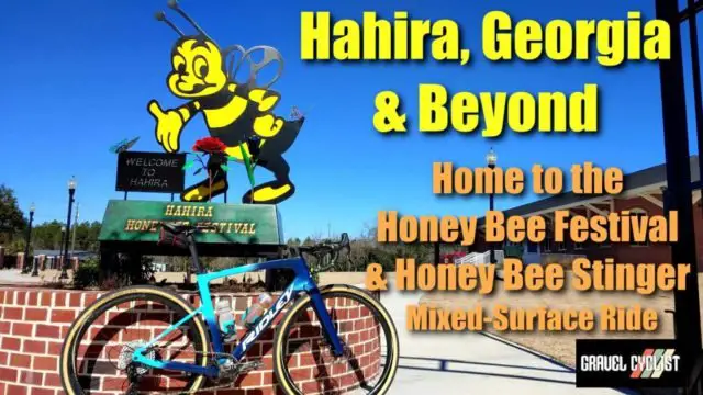 hahira georgia honey bee festival