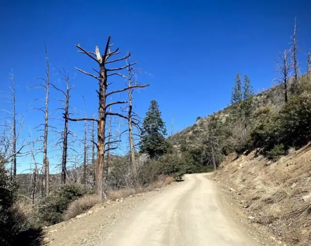 gravel cycling east of tucson arizona