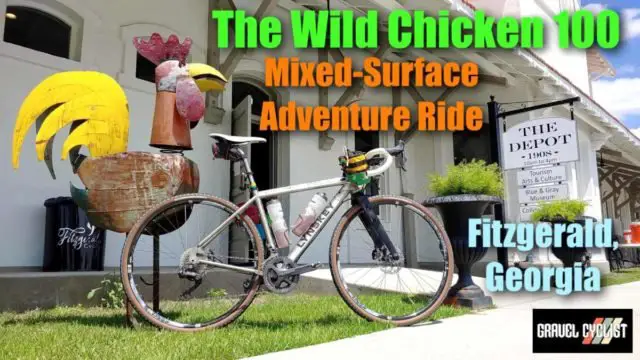 2021 wild chicken 100