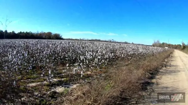 blackshear georgia cycling