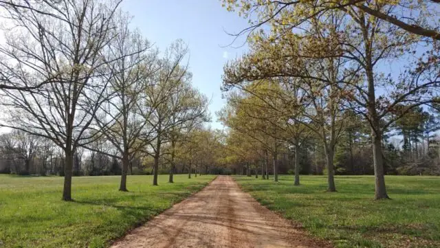 covington georgia gravel cycling