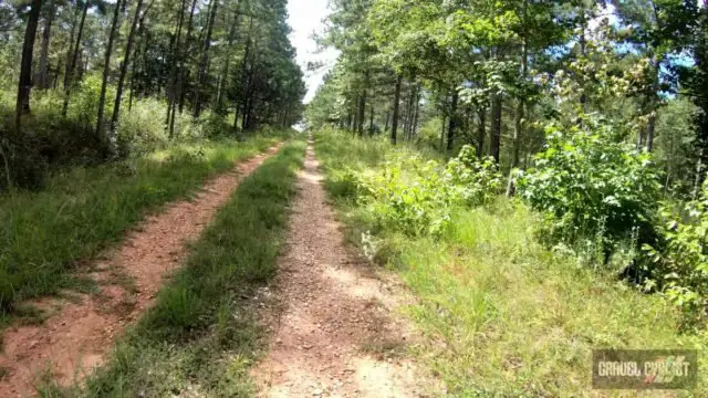 alabama gravel cycling