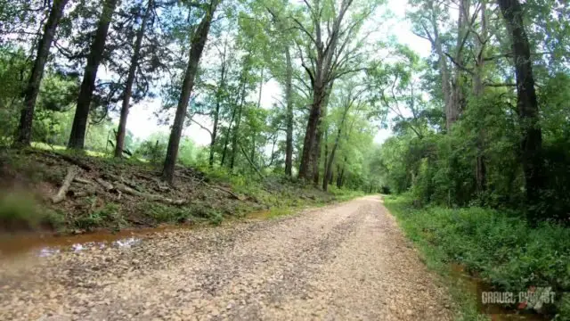 el camino 105 gravel ride palestine texas