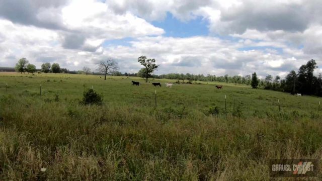 el camino 105 gravel ride palestine texas