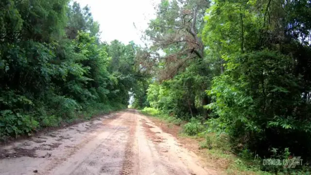 el camino 105 gravel ride palestine texas