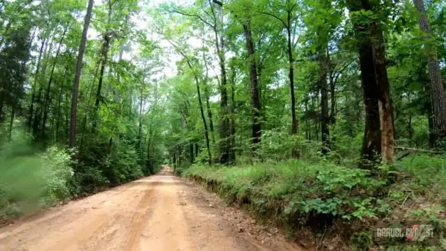 el camino 105 gravel ride palestine texas