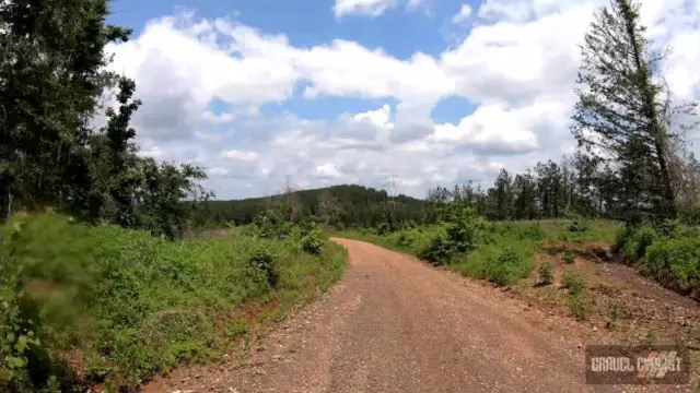 el camino 105 gravel ride palestine texas