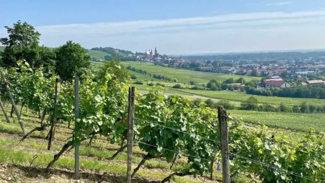 Nibelungen Gravel Ride 2021