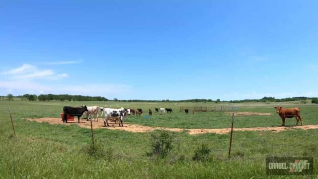 north central texas gravel cycling