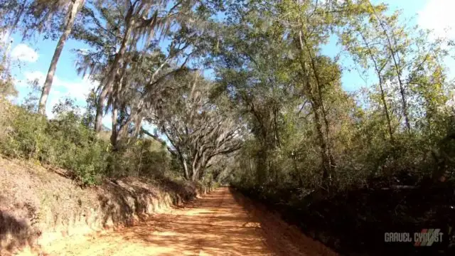 madison florida gravel cycling