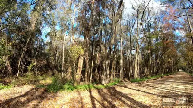 madison florida gravel cycling