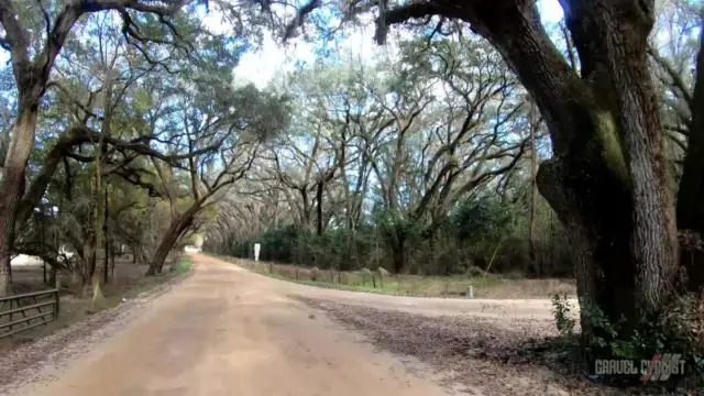 madison florida gravel cycling