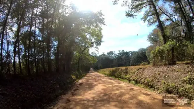 madison florida gravel cycling