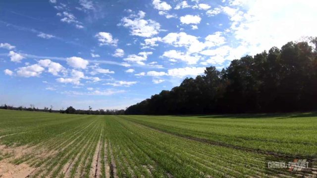 madison florida gravel cycling