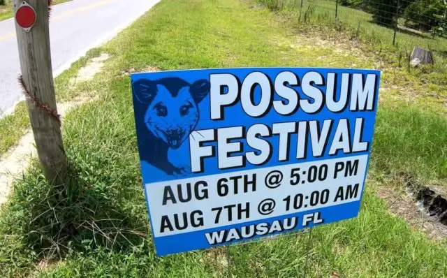 wausau florida possum festival