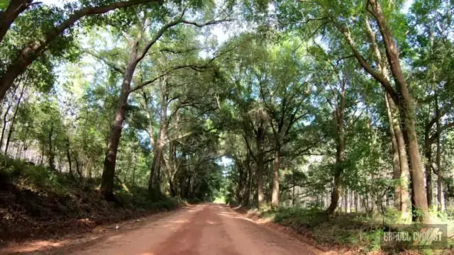 cycling in dothan alabama