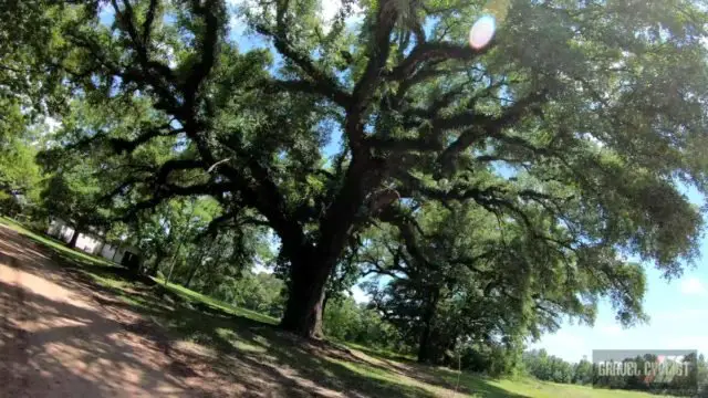 cycling in dothan alabama