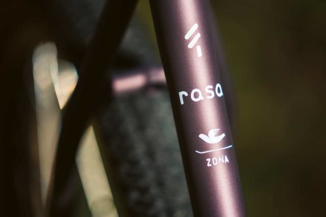 pine cycles rasa bike review