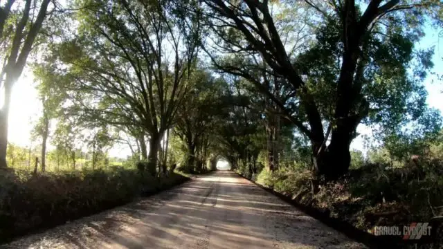 southern georgia gravel cycling