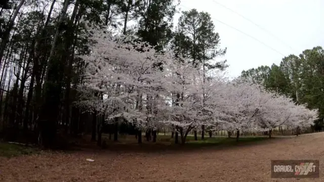 mid georgia gravel cycling