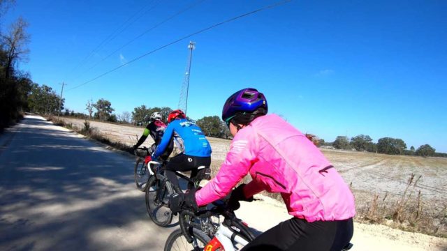 tour of the quilt country trenton florida