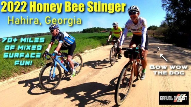 2022 honey bee stinger cycling event