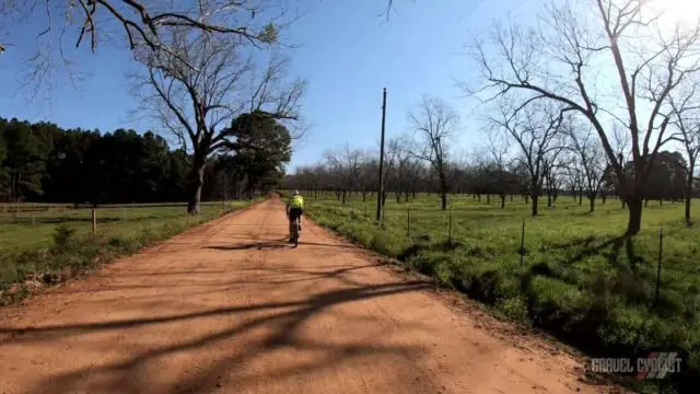 2022 honey bee stinger cycling event