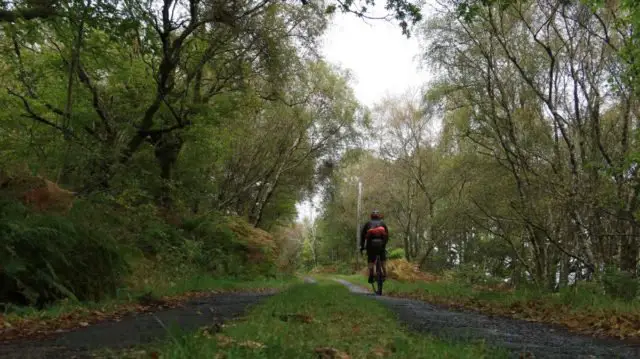 wild about bikepacking markus stitz