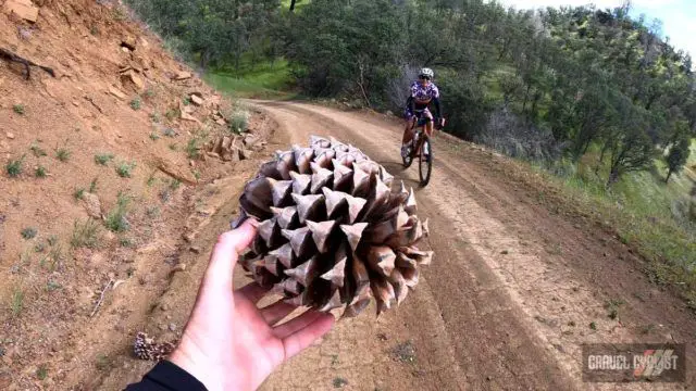 colusa county gravel cycling