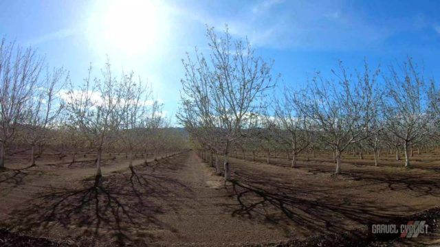 colusa county gravel cycling