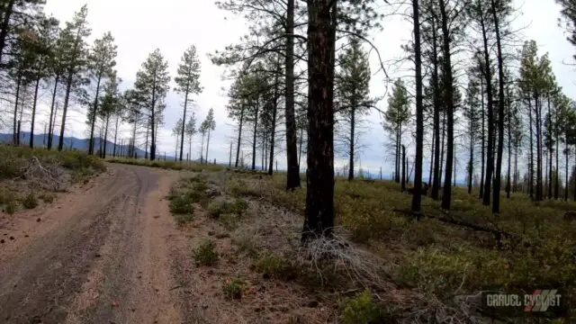 bend oregon skyline forest cycling