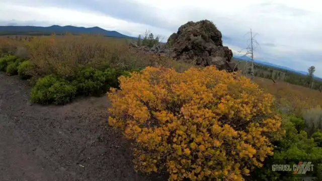 bend oregon skyline forest cycling