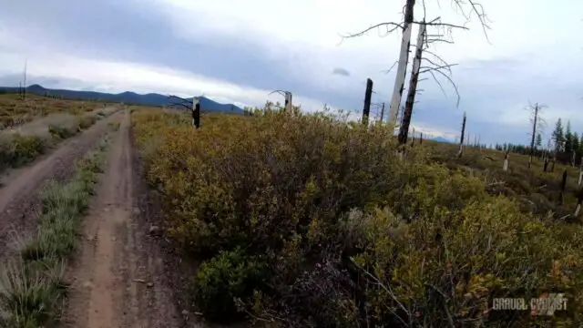 bend oregon skyline forest gravel cycling