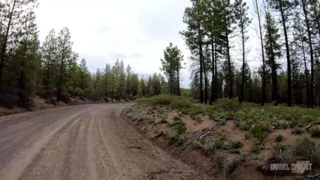 bend oregon skyline forest gravel cycling