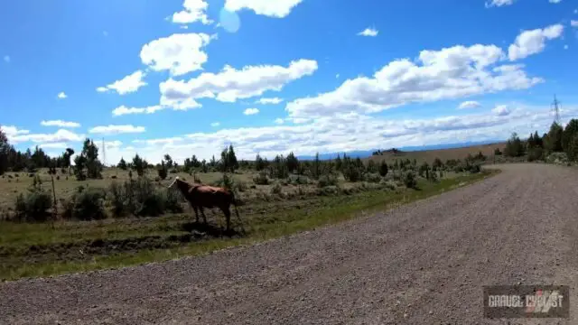 bend oregon gravel cycling