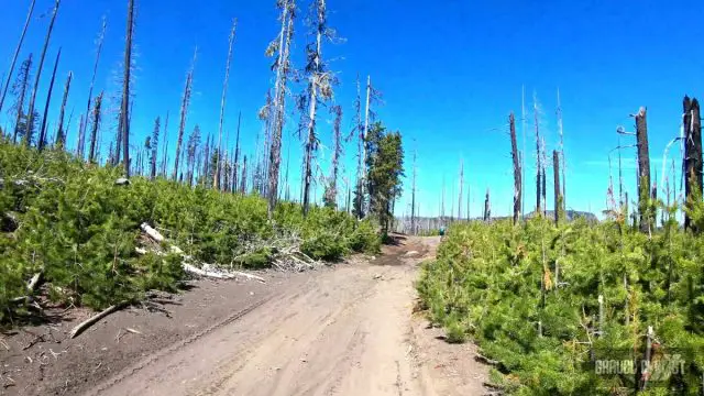 2022 oregon trail gravel grinder video