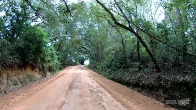 cycling the cotton fields of southern georgia