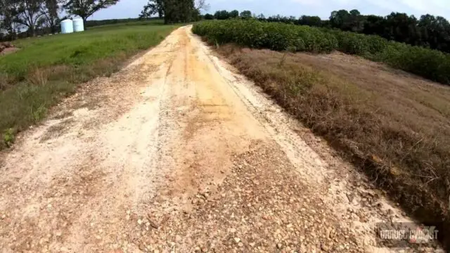 cycling the cotton fields of southern georgia